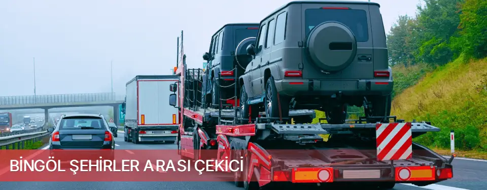 Bingöl İli Şehirler Arası Çekici